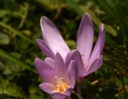 2023 Val di Zoldo 036